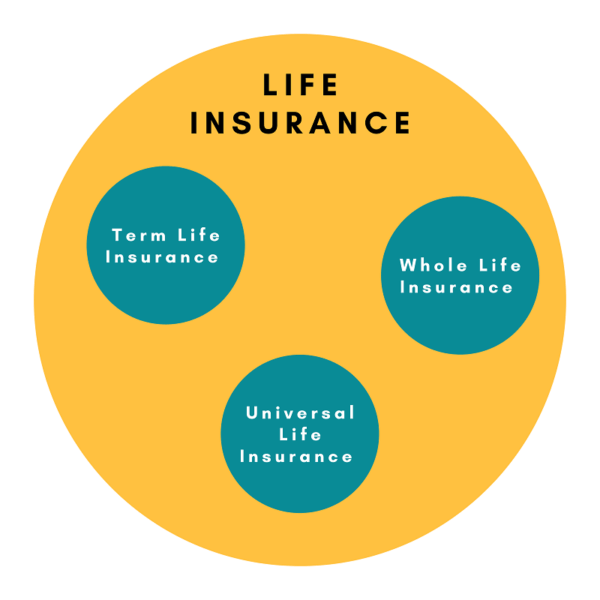 types of life insurance