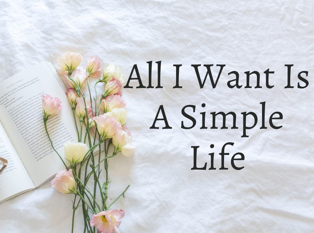 All I want Ia A Simple life main